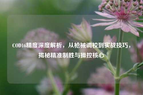 COD16精度深度解析,从枪械调校到实战技巧,揭秘精准制胜与操控核心