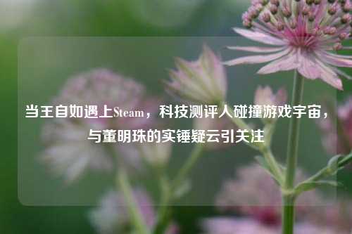 当王自如遇上Steam，科技测评人碰撞游戏宇宙，与董明珠的实锤疑云引关注