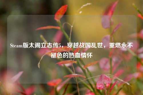 Steam版太阁立志传5,穿越战国乱世,重燃永不褪色的热血情怀