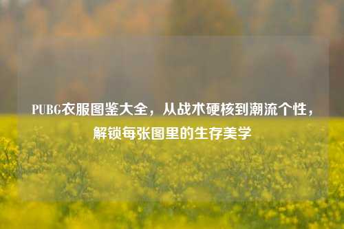 PUBG衣服图鉴大全，从战术硬核到潮流个性，解锁每张图里的生存美学