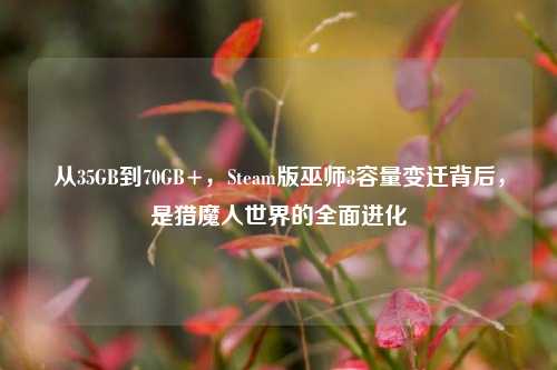 从35GB到70GB+，Steam版巫师3容量变迁背后，是猎魔人世界的全面进化