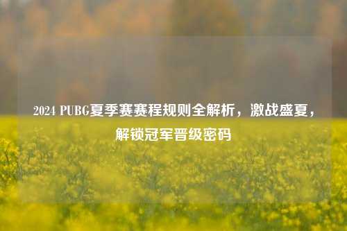 2024 PUBG夏季赛赛程规则全解析,激战盛夏,解锁冠军晋级密码