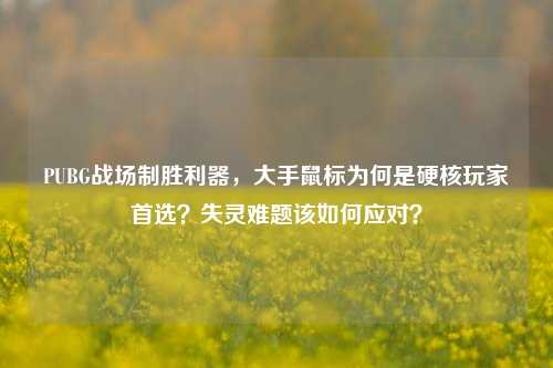PUBG战场制胜利器,大手鼠标为何是硬核玩家首选?失灵难题该如何应对?