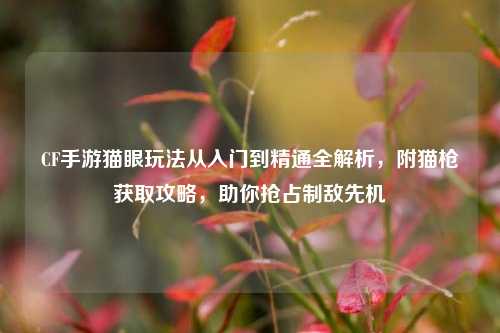 CF手游猫眼玩法从入门到精通全解析,附猫枪获取攻略,助你抢占制敌先机