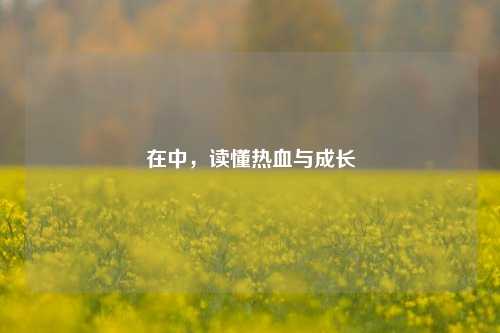 在中，读懂热血与成长