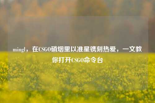 mingl，在CSGO硝烟里以准星镌刻热爱，一文教你打开CSGO命令台