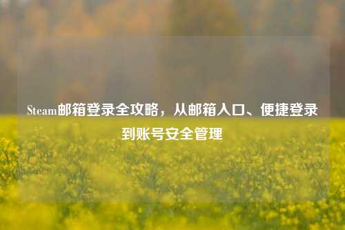 Steam邮箱登录全攻略,从邮箱入口、便捷登录到账号安全管理