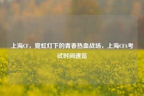 上海CF,霓虹灯下的青春热血战场,上海CFA考试时间速览