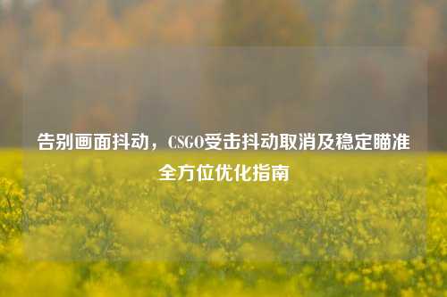 告别画面抖动，CSGO受击抖动取消及稳定瞄准全方位优化指南