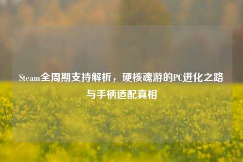 Steam全周期支持解析，硬核魂游的PC进化之路与手柄适配真相