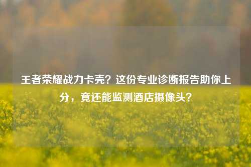 王者荣耀战力卡壳？这份专业诊断报告助你上分，竟还能监测酒店摄像头？
