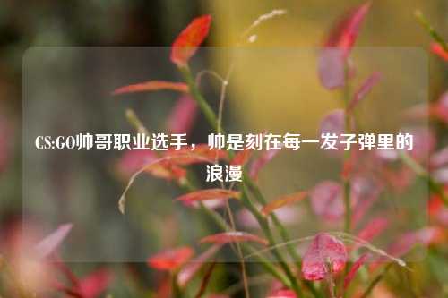 CS:GO帅哥职业选手,帅是刻在每一发子弹里的浪漫