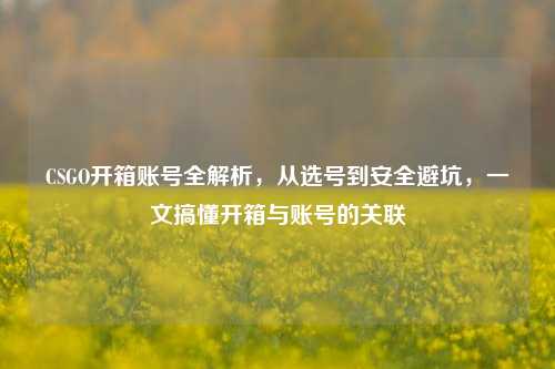 CSGO开箱账号全解析,从选号到安全避坑,一文搞懂开箱与账号的关联