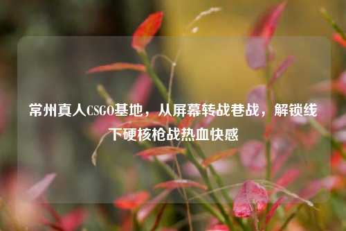 常州真人CSGO基地，从屏幕转战巷战，解锁线下硬核枪战热血快感