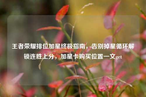 王者荣耀排位加星终极指南，告别掉星循环解锁连胜上分，加星卡购买位置一文get