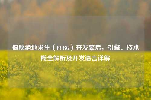 揭秘绝地求生（PUBG）开发幕后，引擎、技术栈全解析及开发语言详解