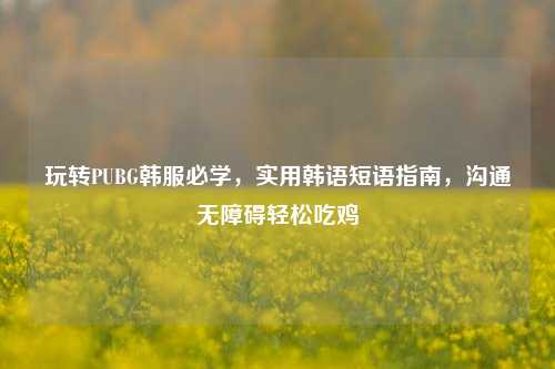 玩转PUBG韩服必学，实用韩语短语指南，沟通无障碍轻松吃鸡