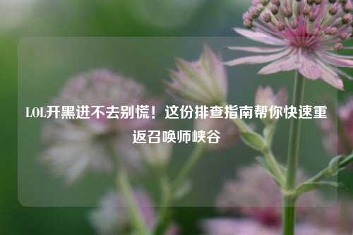 LOL开黑进不去别慌!这份排查指南帮你快速重返召唤师峡谷
