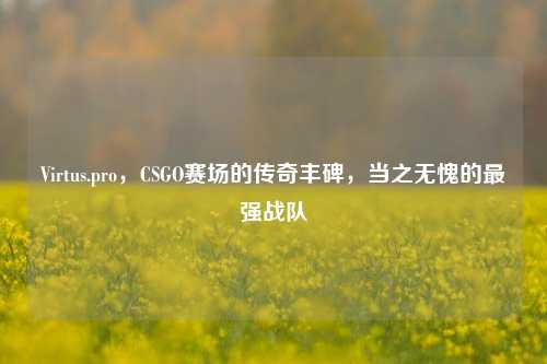 Virtus.pro，CSGO赛场的传奇丰碑，当之无愧的最强战队