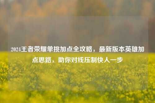 2024王者荣耀单挑加点全攻略，最新版本英雄加点思路，助你对线压制快人一步