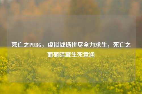 死亡之PUBG,虚拟战场拼尽全力求生,死亡之葡萄暗藏生死意涵