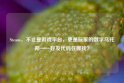 Steam，不止是游戏平台，更是玩家的数字乌托邦——好友代码在哪找？