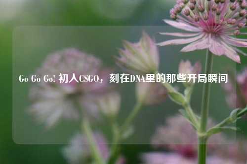Go Go Go! 初入CSGO,刻在DNA里的那些开局瞬间