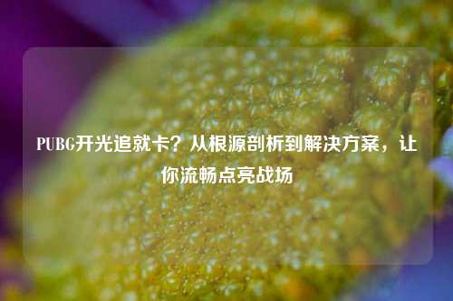 PUBG开光追就卡?从根源剖析到解决方案,让你流畅点亮战场