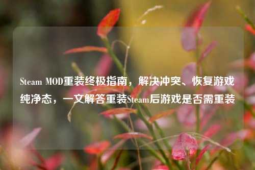 Steam MOD重装终极指南,解决冲突、恢复游戏纯净态,一文解答重装Steam后游戏是否需重装