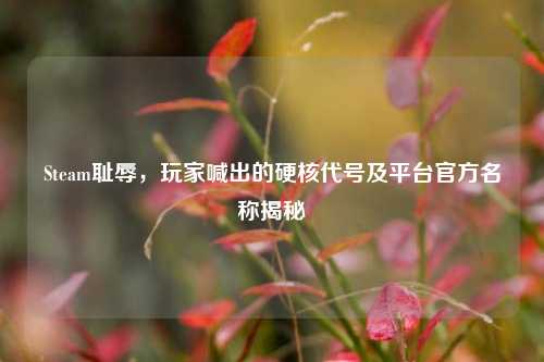 Steam耻辱,玩家喊出的硬核代号及平台官方名称揭秘