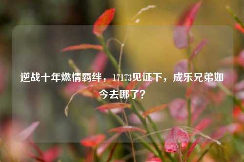 逆战十年燃情羁绊,17173见证下,成乐兄弟如今去哪了?