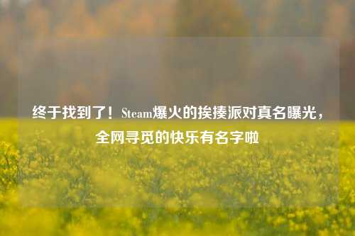终于找到了!Steam爆火的挨揍派对真名曝光,全网寻觅的快乐有名字啦