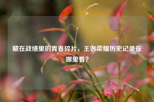 藏在战绩里的青春碎片，王者荣耀历史记录在哪里看？