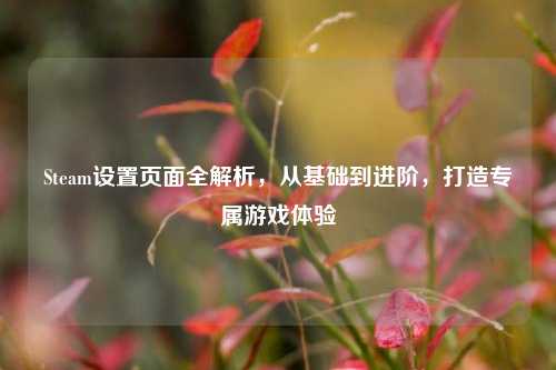Steam设置页面全解析，从基础到进阶，打造专属游戏体验