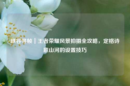 峡谷寻帧|王者荣耀风景拍摄全攻略,定格诗意山河的设置技巧