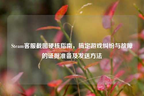 Steam客服截图硬核指南,搞定游戏纠纷与故障的证据准备及发送方法