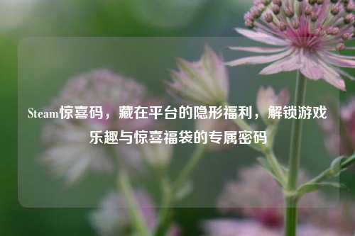 Steam惊喜码，藏在平台的隐形福利，解锁游戏乐趣与惊喜福袋的专属密码