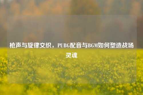 枪声与旋律交织,PUBG配音与BGM如何塑造战场灵魂