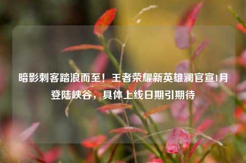 暗影刺客踏浪而至！王者荣耀新英雄澜官宣1月登陆峡谷，具体上线日期引期待