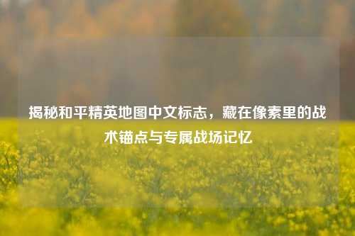 揭秘和平精英地图中文标志,藏在像素里的战术锚点与专属战场记忆