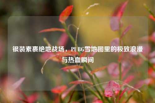 银装素裹绝地战场,PUBG雪地图里的极致浪漫与热血瞬间