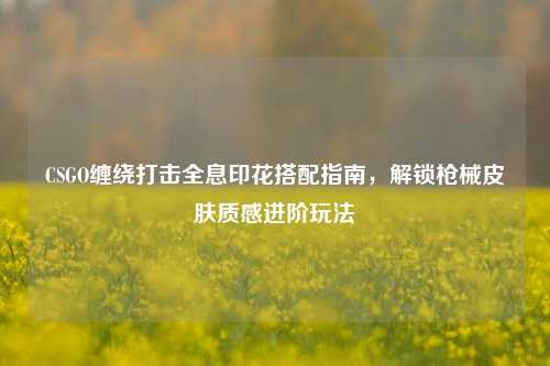 CSGO缠绕打击全息印花搭配指南,解锁枪械皮肤质感进阶玩法