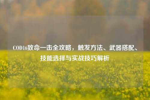 COD16致命一击全攻略,触发方法、武器搭配、技能选择与实战技巧解析