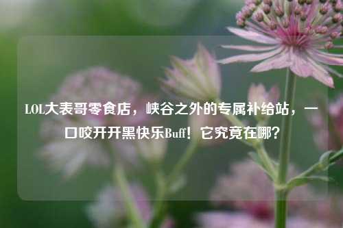 LOL大表哥零食店,峡谷之外的专属补给站,一口咬开开黑快乐Buff!它究竟在哪?