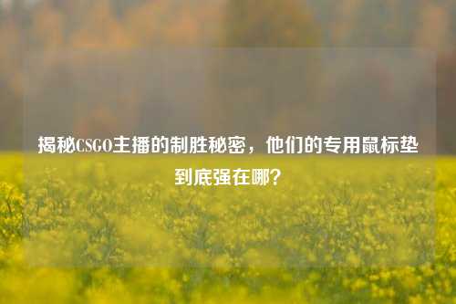 揭秘CSGO主播的制胜秘密,他们的专用鼠标垫到底强在哪?