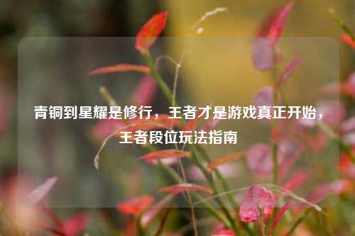 青铜到星耀是修行，王者才是游戏真正开始，王者段位玩法指南