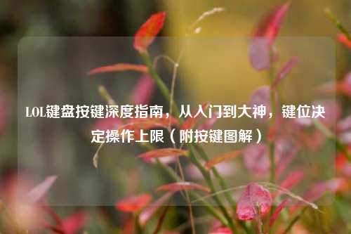LOL键盘按键深度指南,从入门到大神,键位决定操作上限(附按键图解)