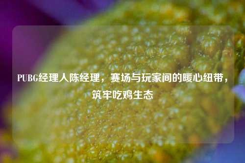 PUBG经理人陈经理,赛场与玩家间的暖心纽带,筑牢吃鸡生态