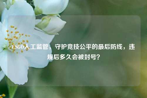 CSGO人工监管,守护竞技公平的最后防线,违规后多久会被封号?
