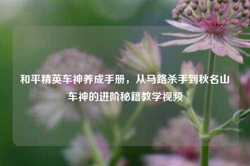 和平精英车神养成手册,从马路杀手到秋名山车神的进阶秘籍教学视频